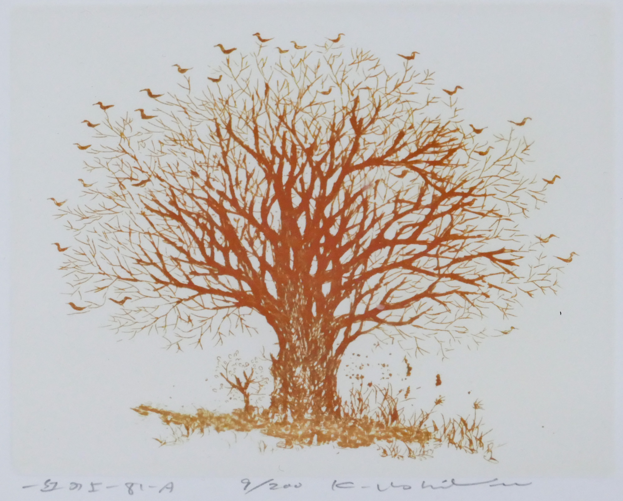 Appraisal: Kenji Ushiku - Japanese ''Tree with Birds'' Etching ''x ''