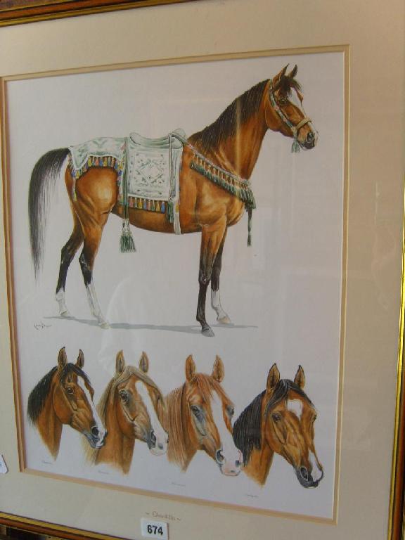 Appraisal: A group of studies of horses including horse in decorative