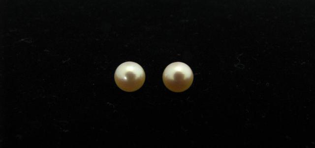 Appraisal: Pair Mikimoto Sea Magic Pearl Earrings k yellow gold mounting