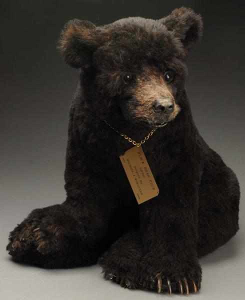 Appraisal: Michael J Woessner Black Bear Cub Bear Produced in the