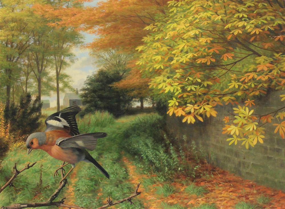 Appraisal: RAYMOND C BOOTH BRITISH - BIRD Oil on board x