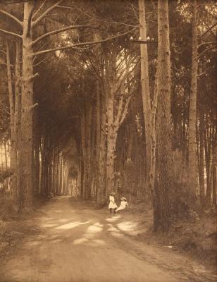 Appraisal: An early th Century American sepia photograph children in a