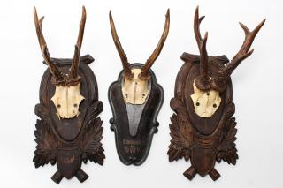 Appraisal: Vintage Deer Antler Taxidermy each a pair of antlers and