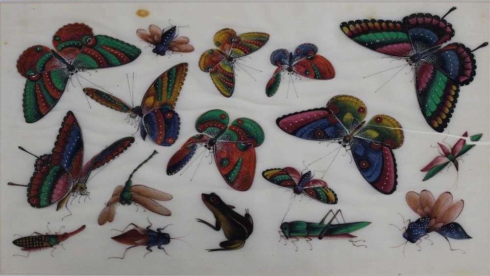 Appraisal: CHINESE EXPORT GOUACHE ON PITH PAPER ALBUM LEAF BUTTERFLIES QING