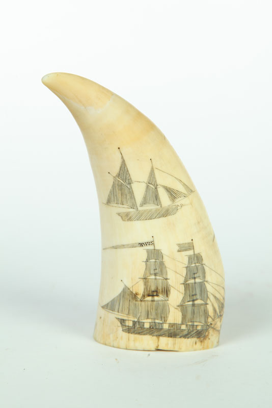 Appraisal: SCRIMSHAW TOOTH New England late th century Four ships three