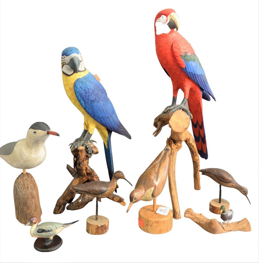 Appraisal: Seven Piece Group of Carved Birds to include a seagull