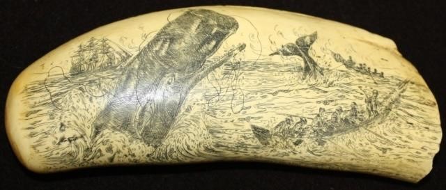 Appraisal: EARLY TH C SCRIMSHAW WHALE'S TOOTH TITLED SPERM WHALE AT