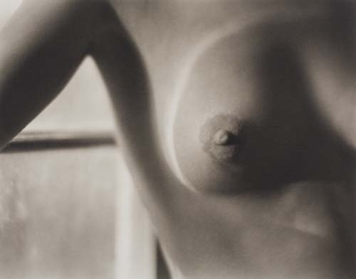 Appraisal: WESTON EDWARD WESTON COLE - - Nude Platinum-palladium print x