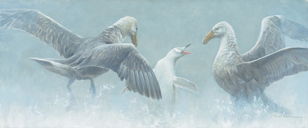 Appraisal: Robert Bateman b Giant Petrels and Albino Gentoo Penguin Exclusive