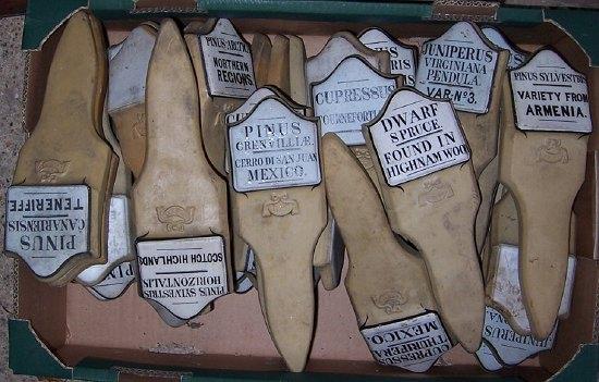 Appraisal: A collection of plant markers pottery with glazed labels for