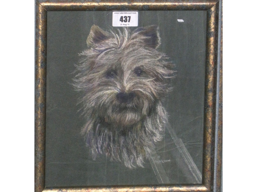 Appraisal: CHARLES A ANDERSON Pastel of a Yorkshire Terrier signed