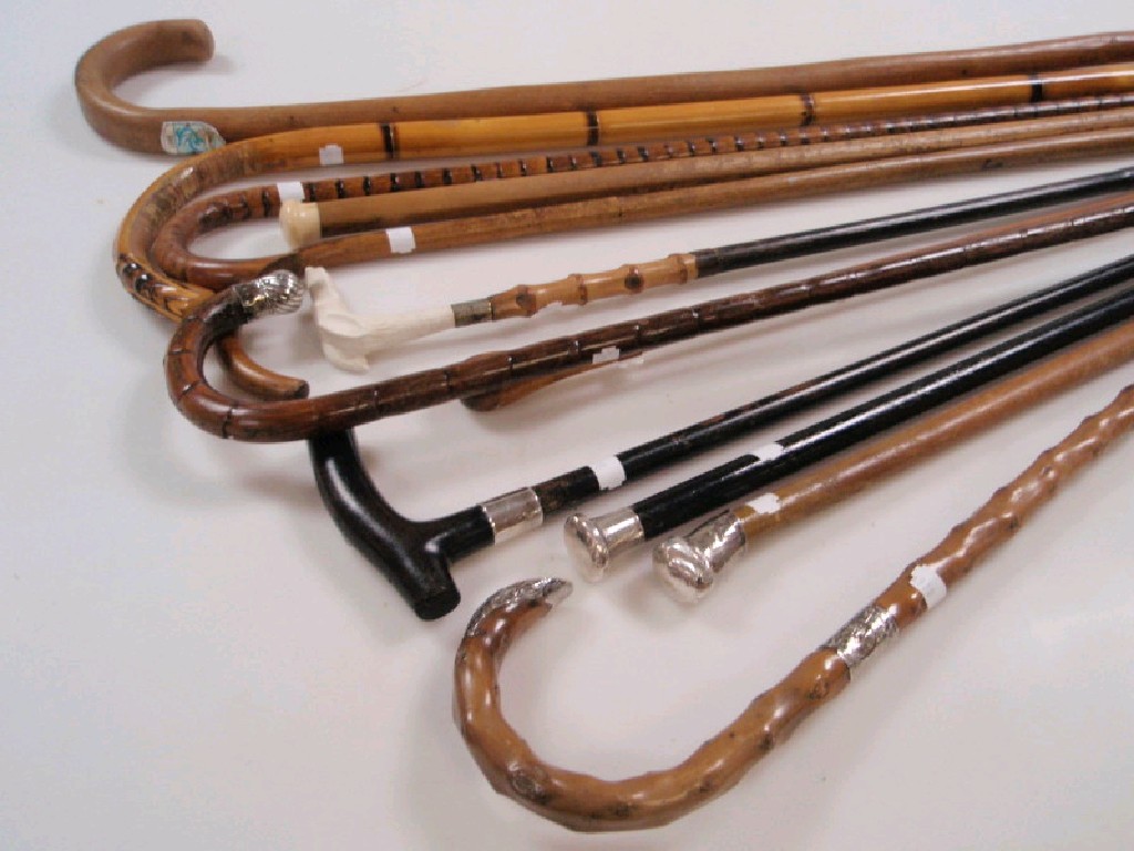 Appraisal: A selection of walking sticks and canes some with silver