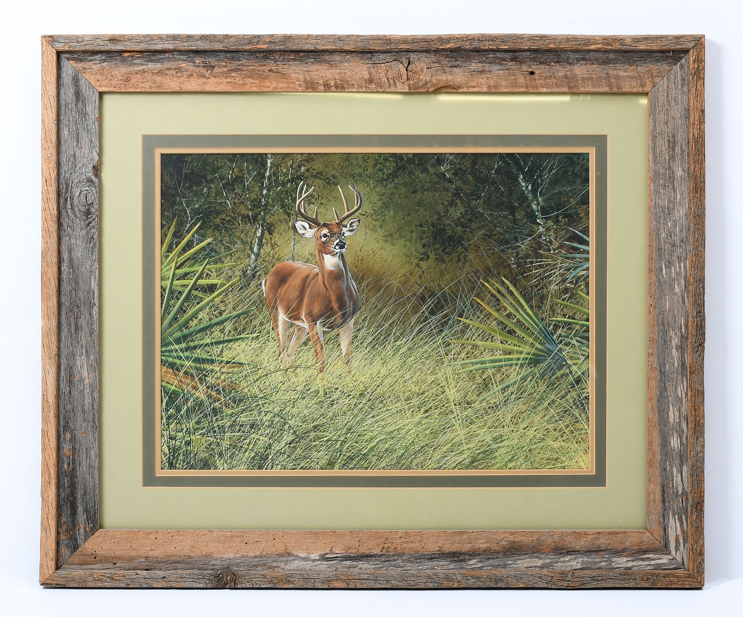 Appraisal: CABLE Lee American b Florida Buck in a Landscape Watercolor