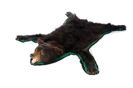 Appraisal: BEAR SKIN RUG American th century Black bear with taxidermic