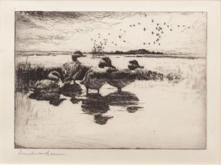 Appraisal: Frank W Benson - Calm signed Frank W Benson lower