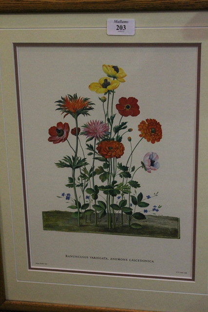 Appraisal: A collection of six coloured prints of flowers in oak