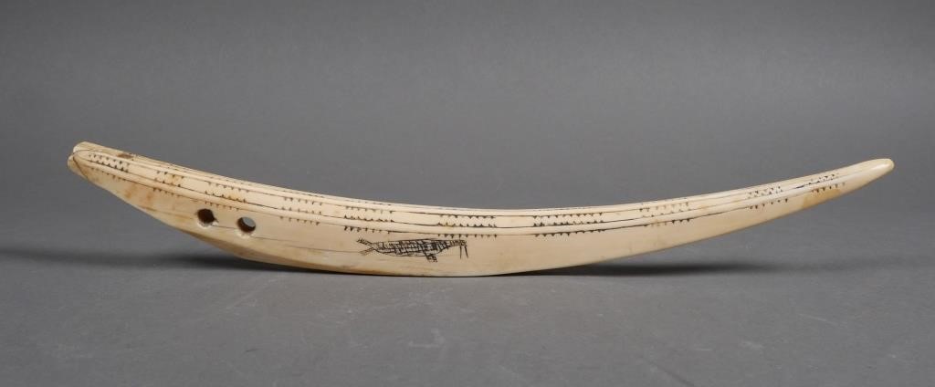 Appraisal: Scrimshaw tusk with carved walrus on both sides Approx length