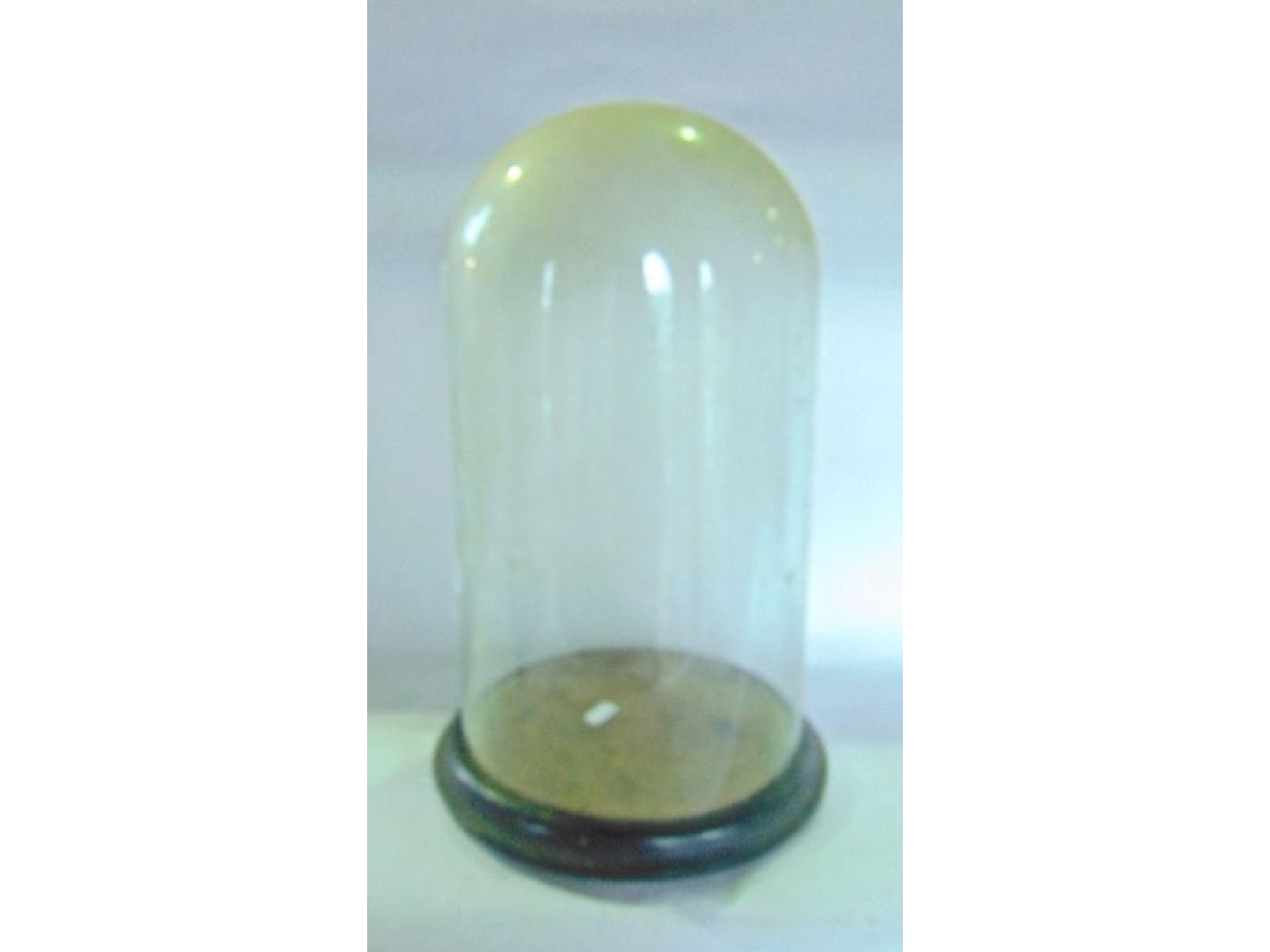 Appraisal: A clear glass dome of cylindrical form supported on an