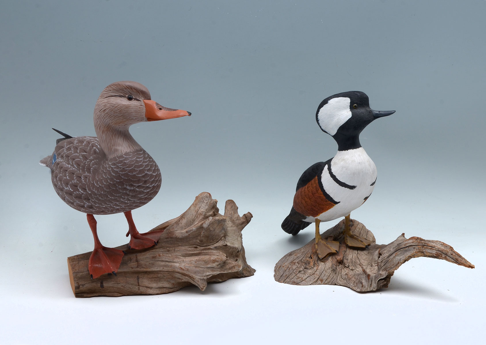 Appraisal: CARVED BIRDS DOC HOLLAND - carved painted ducks mounted on