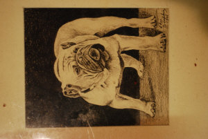 Appraisal: Chas Simpkin - English bulldog pencil signed and dated x