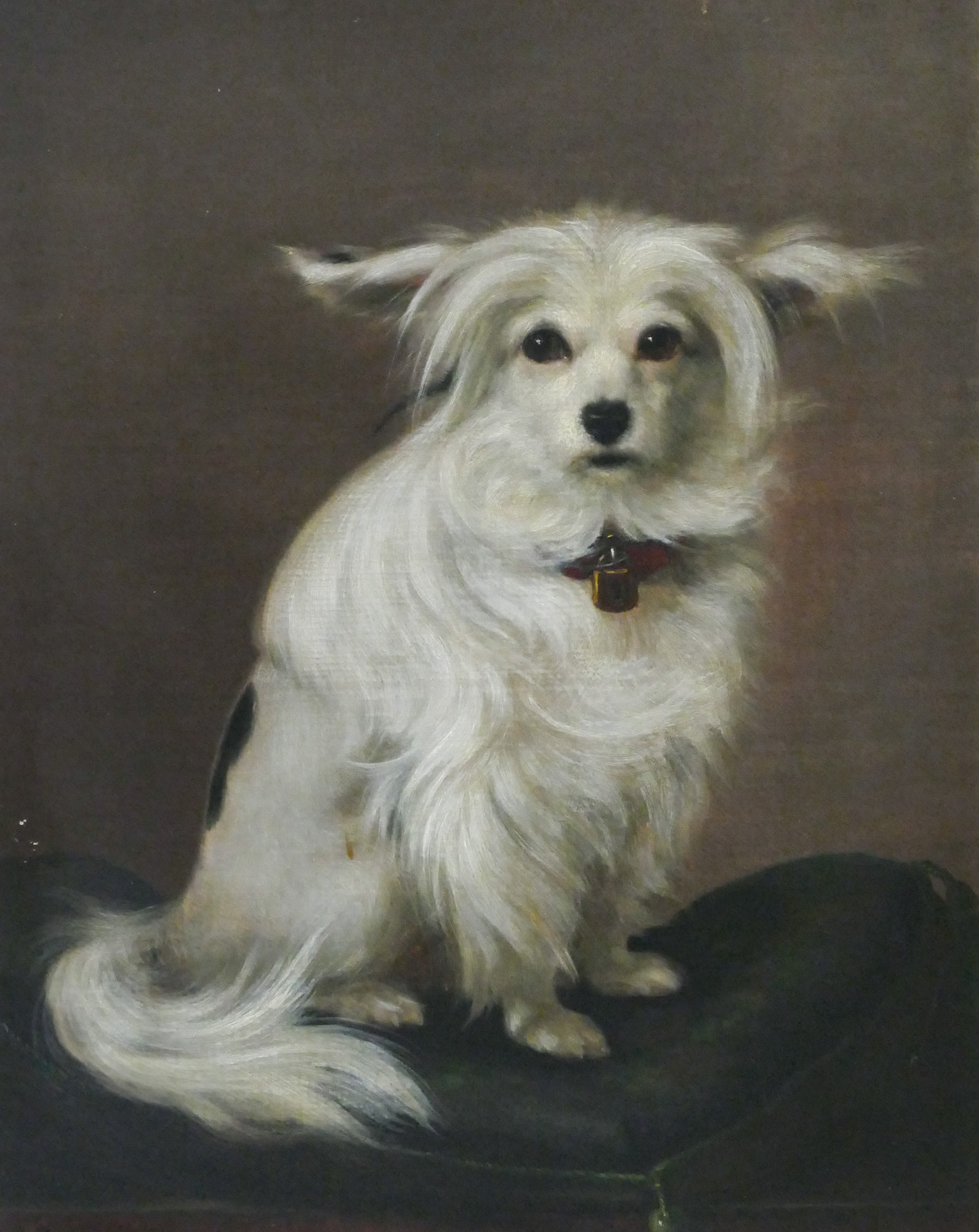 Appraisal: Otto Bache - Denmark ''Della'' Dog Portrait Oil on Canvas