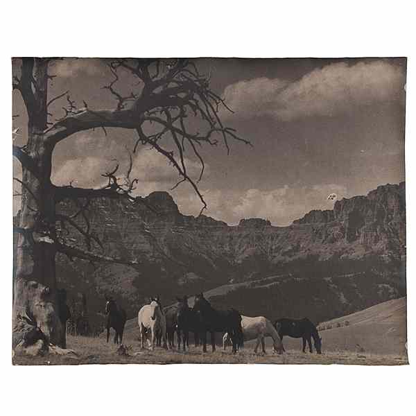 Appraisal: Charles J Belden Photograph of Horses Grazing on a Hillside