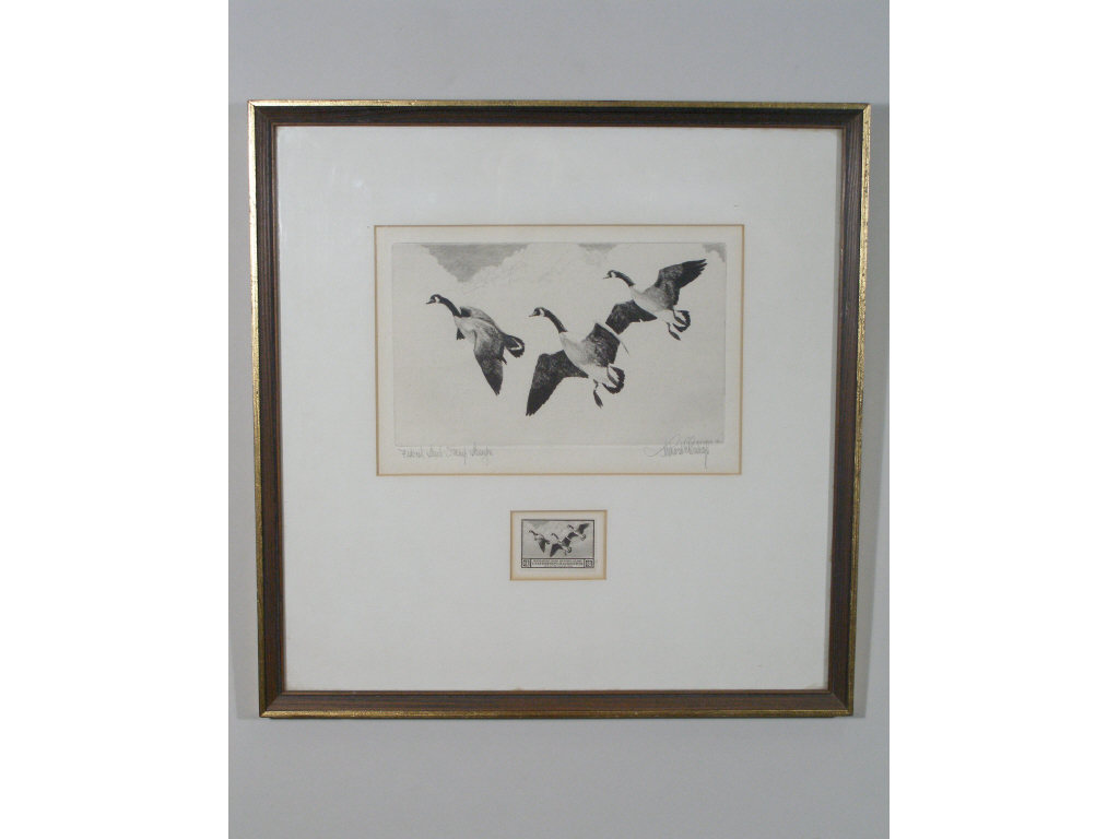 Appraisal: Federal Duck Stamp Print Stamp by R Bishop etching on