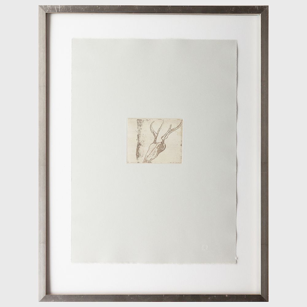 Appraisal: Joseph Beuys - Stag's Skull from Tears Suite Etching in