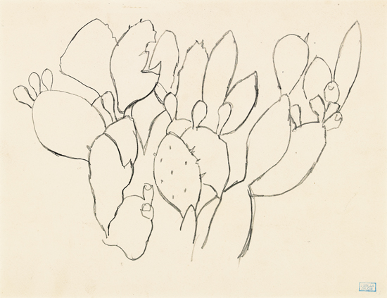 Appraisal: JOSEPH STELLA Group of drawings Study of Cactus pencil Woman