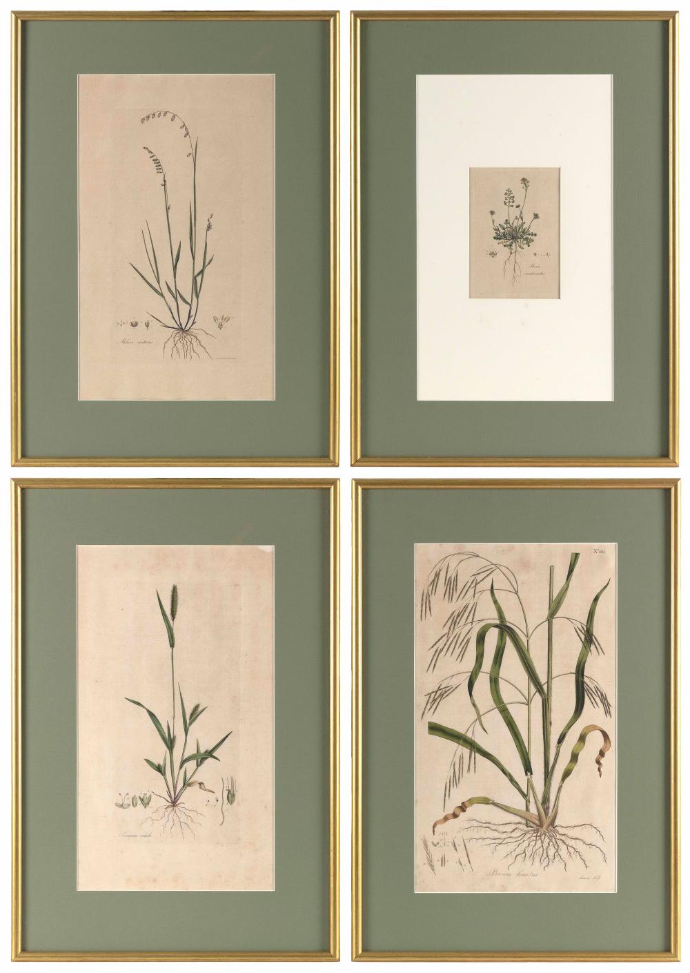 Appraisal: FOUR HAND-COLORED BOTANICAL PRINTS LATE TH TH CENTURY EACH FRAMED