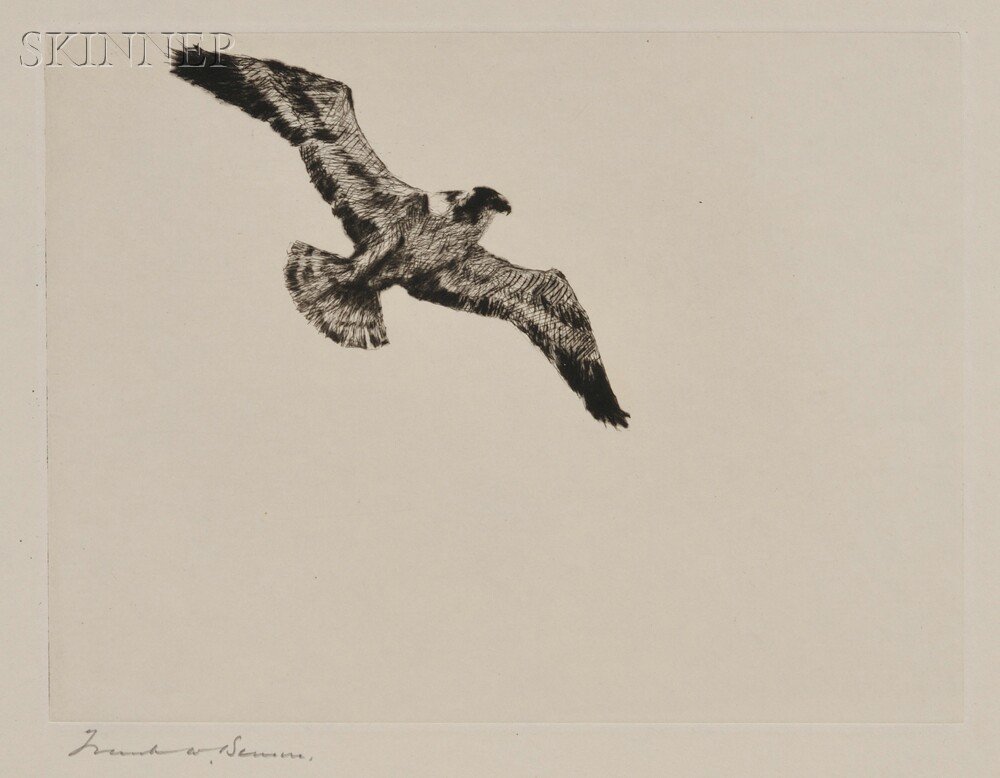 Appraisal: Frank Weston Benson American - Soaring Fish Hawk published state