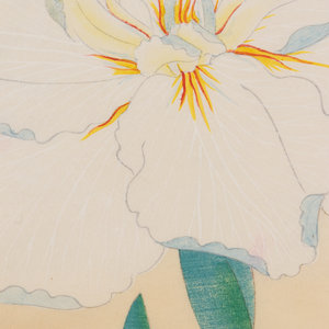 Appraisal: Seven Original Hand-Colored Prints Depicting Japanese Irises on Papier du