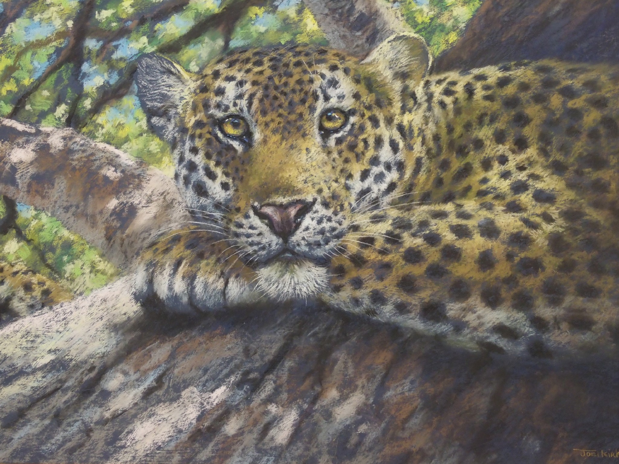 Appraisal: JOEL KIRK British b ADVANTAGE POINT LEOPARD Pastel signed x