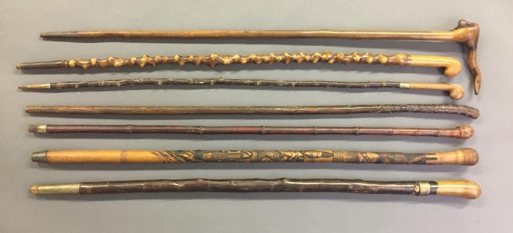 Appraisal: Seven Canes Seven canes including a root handle example All