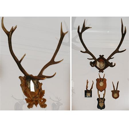 Appraisal: Group of Six Pairs of Antlers Together with a Pair