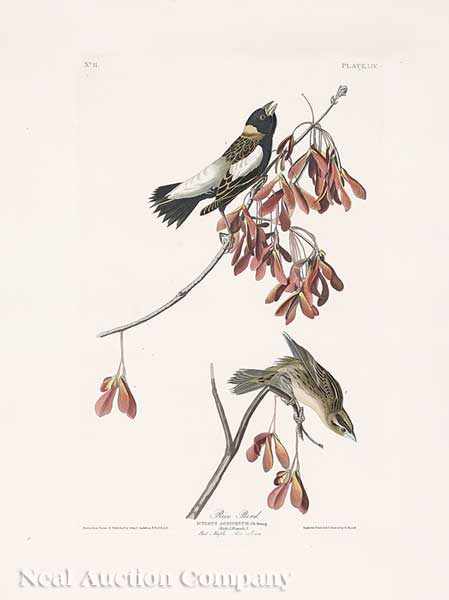 Appraisal: John James Audubon American - Rice Bird Plate LIV from