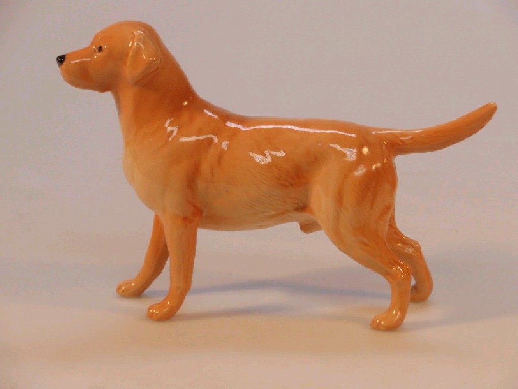 Appraisal: A Beswick model of a yellow Labrador