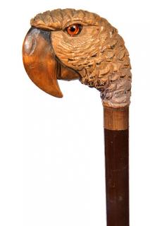 Appraisal: Carved Parrot Cane- Ca - A realistic carved parrot head