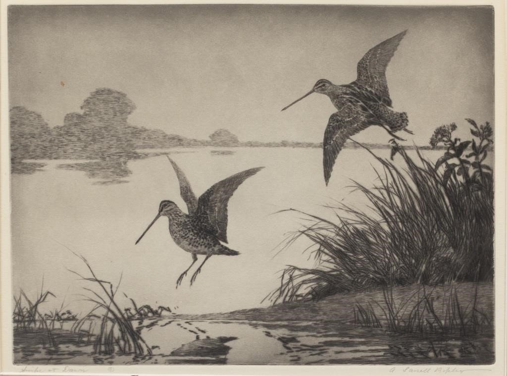 Appraisal: Snipe at Dawn signed A Lassell Ripley lower right etching