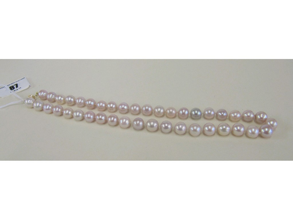 Appraisal: A string of cultured pearls with ct gold clasp