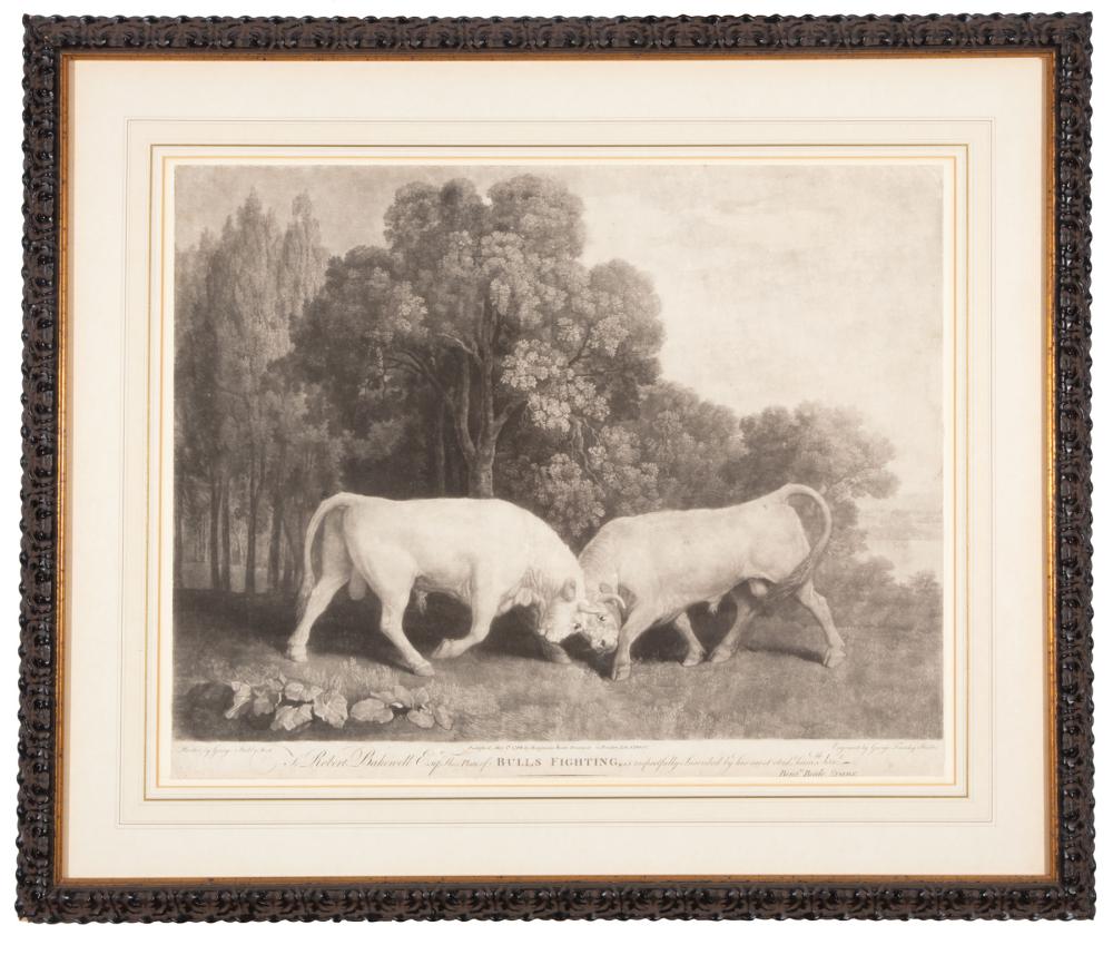 Appraisal: After George Stubbs British - Bulls Fighting c engraving on