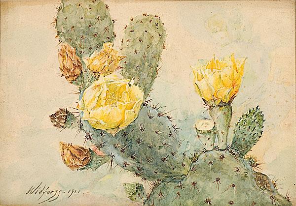 Appraisal: GUNNAR WIDFORSS AMERICAN - Study of a Cactuswatercolor on papersigned