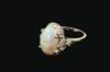 Appraisal: LADIES RING- k white gold antique design ring set with