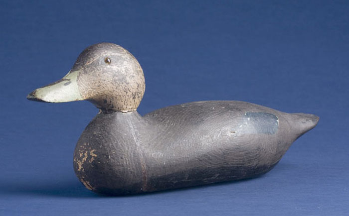 Appraisal: BLACK DUCK DECOY ATTRIBUTED TO THE MASON FACTORY The body