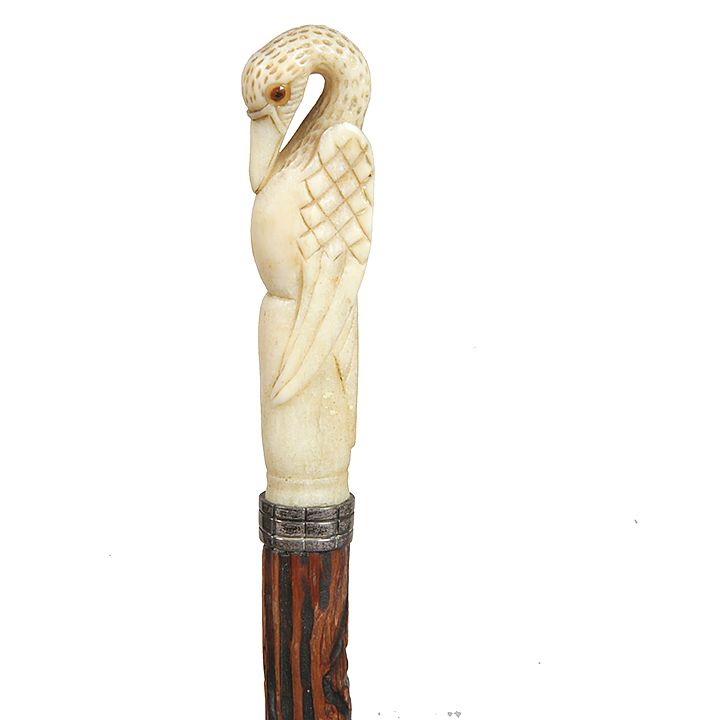 Appraisal: Walrus Exotic Bird Cane Ca - A carved walrus tusk