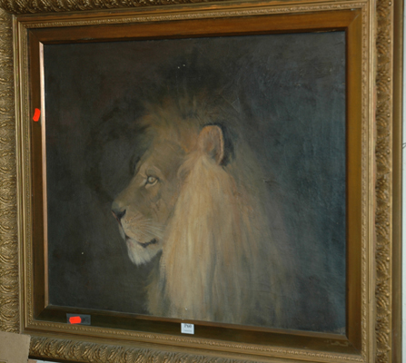 Appraisal: ARTIST UNKNOWN LION PROFILE OIL ON CANVAS