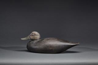 Appraisal: Black Duck A Elmer Crowell Black DuckA Elmer Crowell -