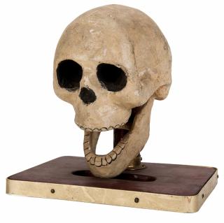 Appraisal: Talking Skull Columbus Grant ca Papier-mache skull mounted to a