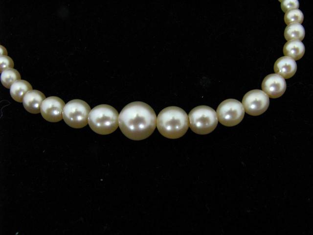 Appraisal: '' Graduated pearl necklace with K white gold clasp clasp