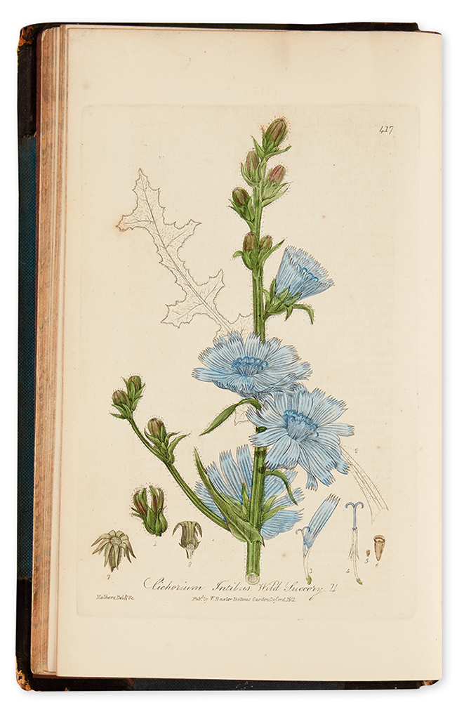 Appraisal: BOTANICAL Baxter William British Phaenogamous Botany or Figures and Descriptions